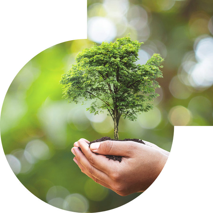 關懷人類、文化、環境與社會